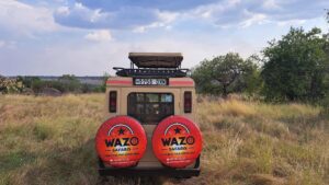 Chat  with Safari Expert