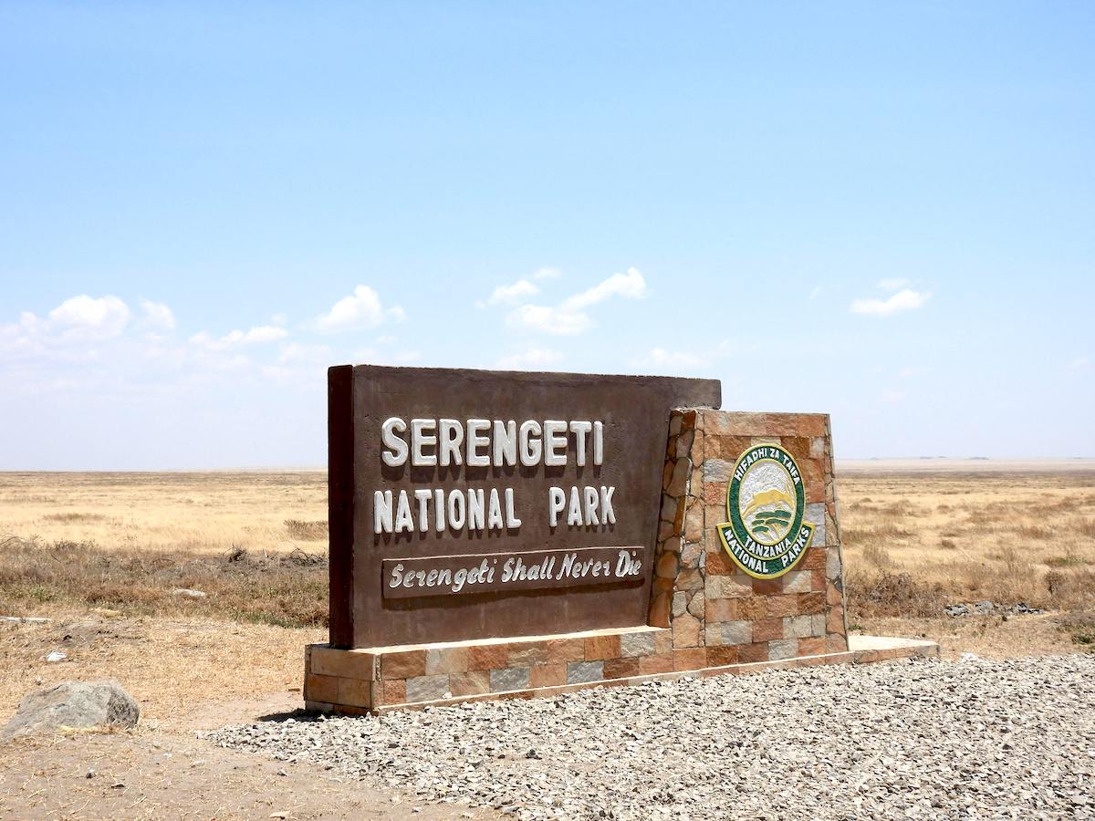 6 Days Safari Serengeti National Park and Ngorongoro Crater (Nala Safari)