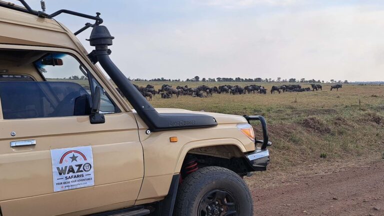 20 Best Tourist Attractions in Tanzania