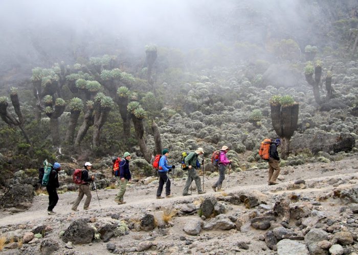 machame route snow