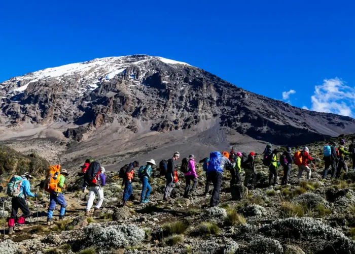 marangu trekkers