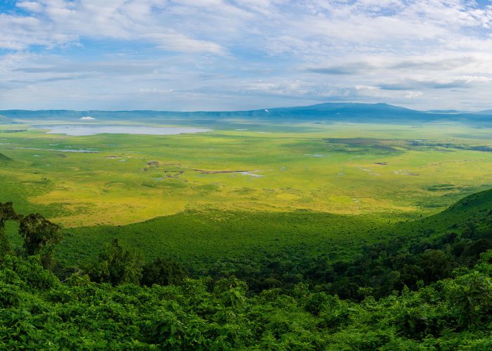 ngorongoro Crater rim
