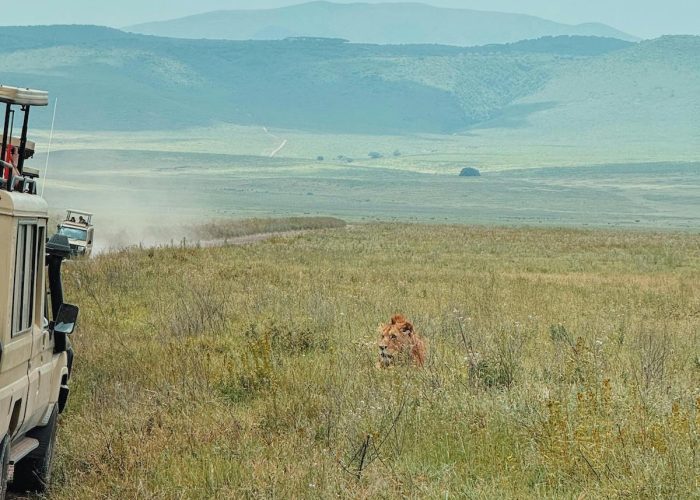 safari tarangire and ngorongoro