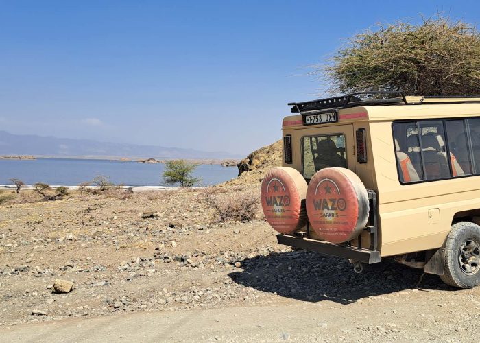 Budget safari Tanzania
