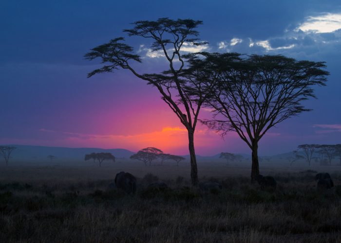 serengeti sunset
